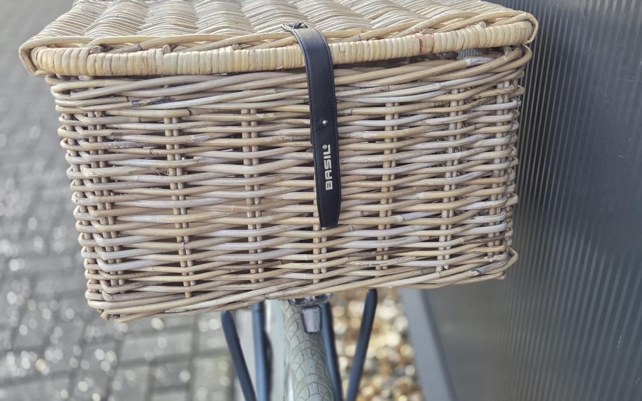 Mooie Vogue Elite N8 52cm 450Wh