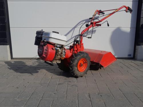 Kleine bakfrees te huur