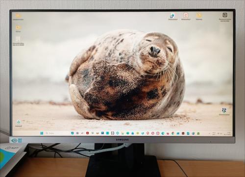 SAMSUNG LS24R650FDUXEN 24 inch, 1920x1080 Full HD - IPS-paneel