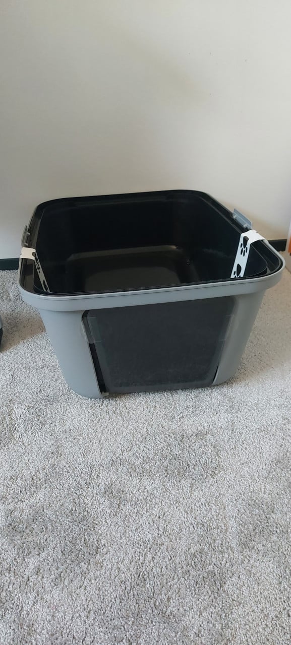 Kattenbak