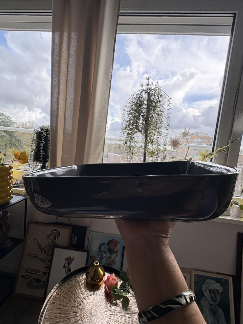 Grote ovenschaal van Villeroy & Boch serie ViVo