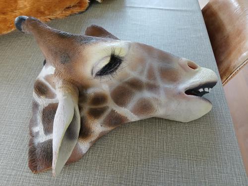 Carnavalskleding veschillende maskers en een pak