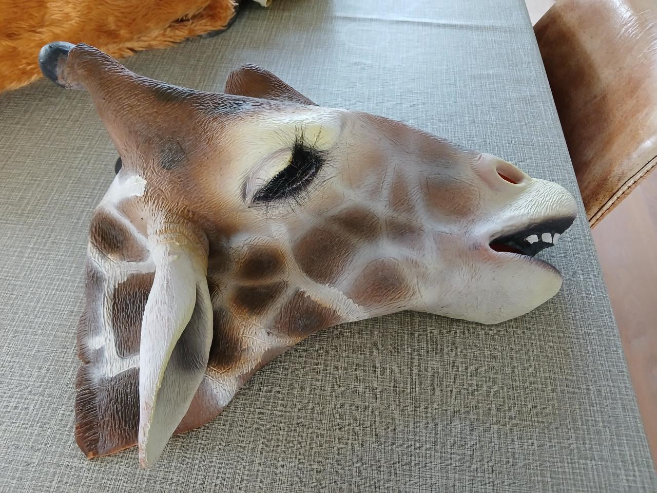 Carnavalskleding veschillende maskers en een pak