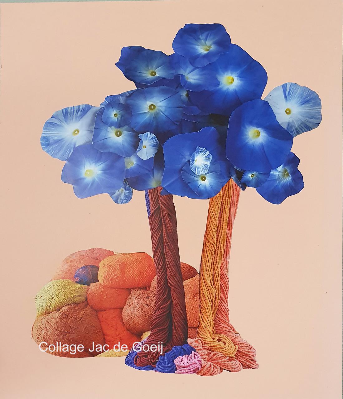 Workshop Collages maken