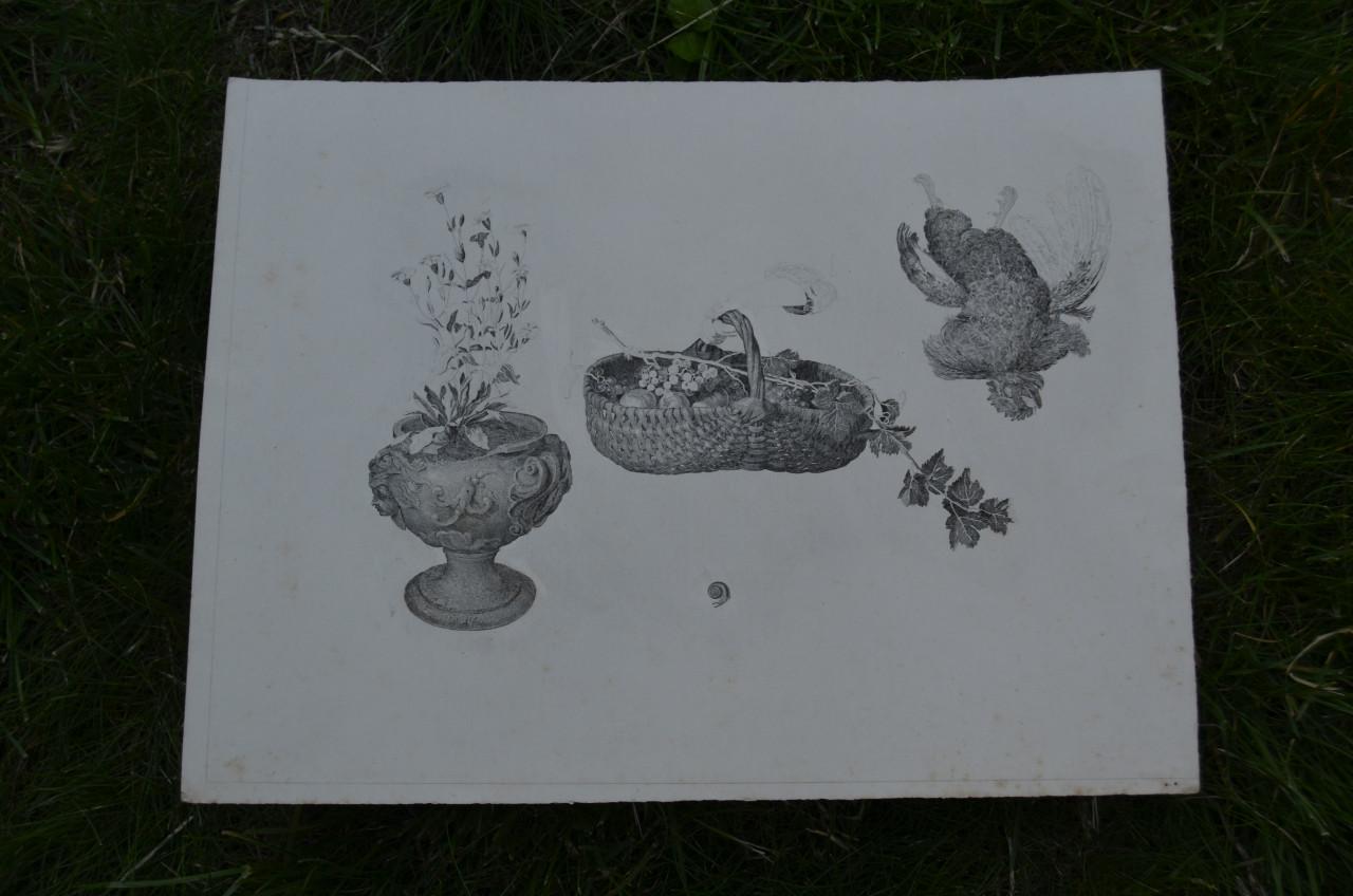 9 Staalgravures 19e eeuws Stadia van een schilderij