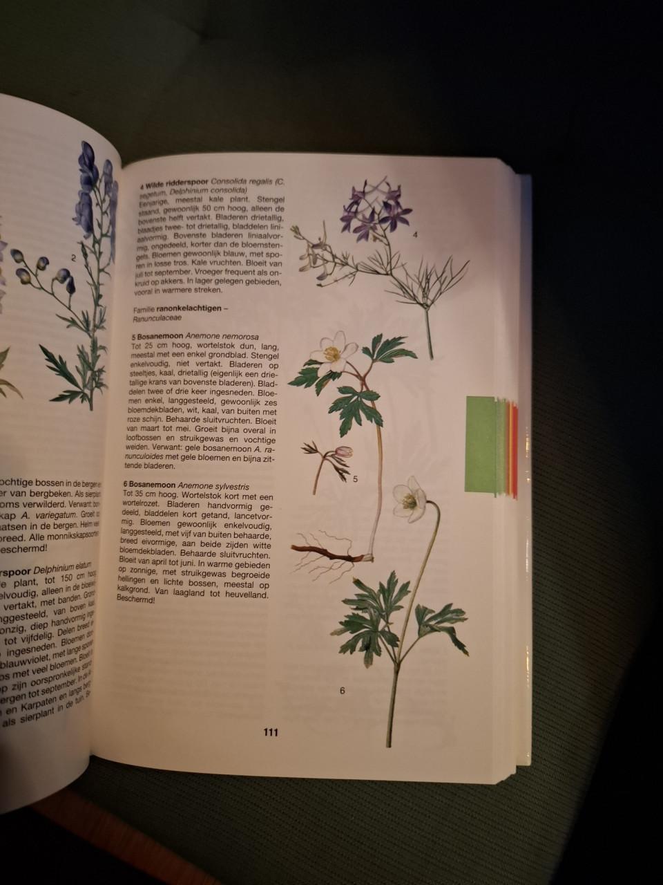 De grote Rebo natuurgids, door Jan Toman / Jiri Felix