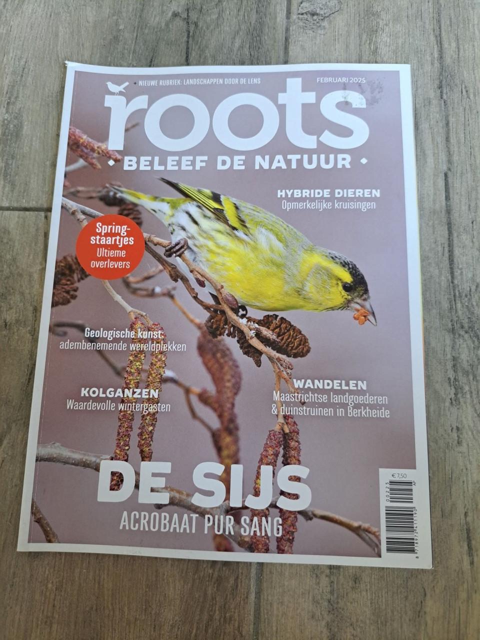 1x Roots