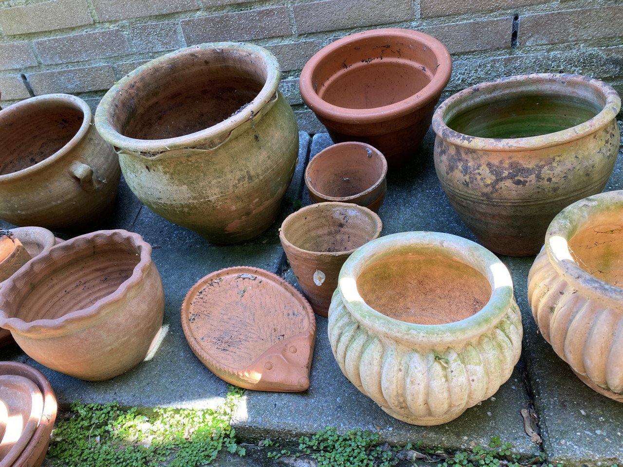 Bloempotten,schalen 25 stuks