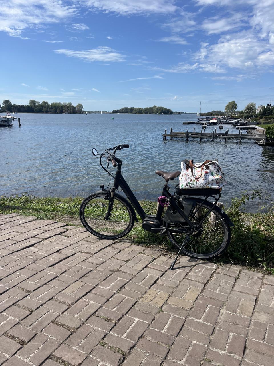 Elektrische fiets  merk Button