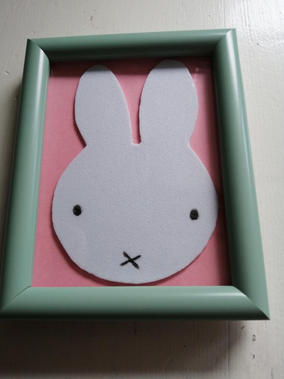 Nijntje Lijstjes, 2 x