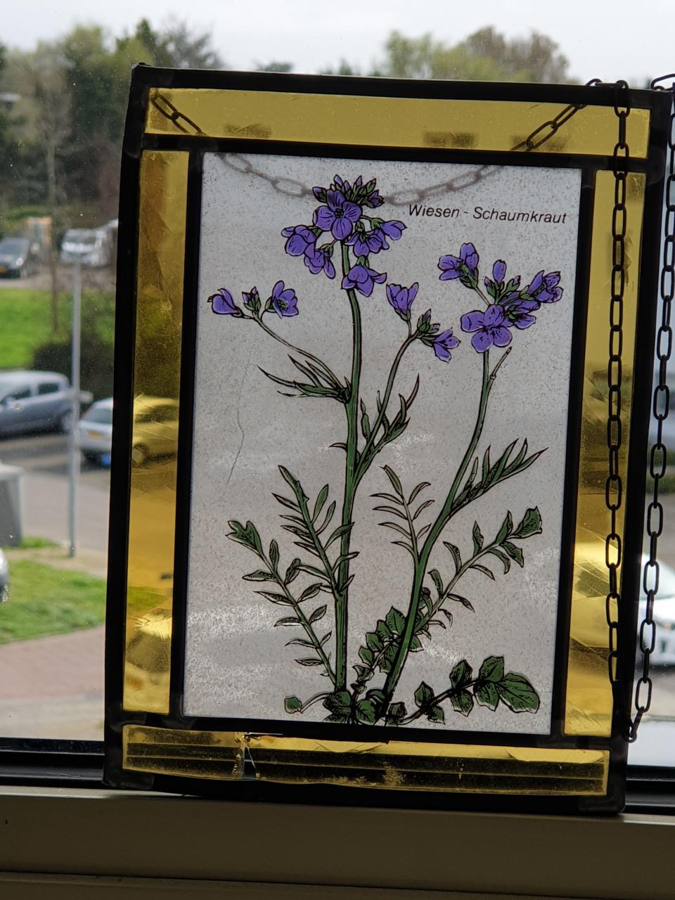 Raamhanger Wiesen Schaumkraut (Veldkers)