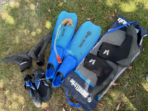Flippers  Snorkel en waterschoenen