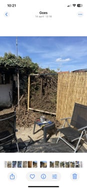 Tuinscherm van riet