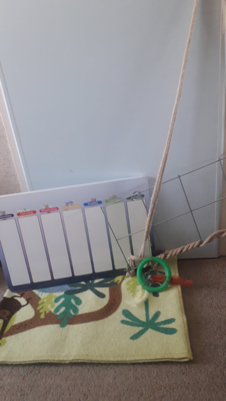 Partij speelgoed en knuffels