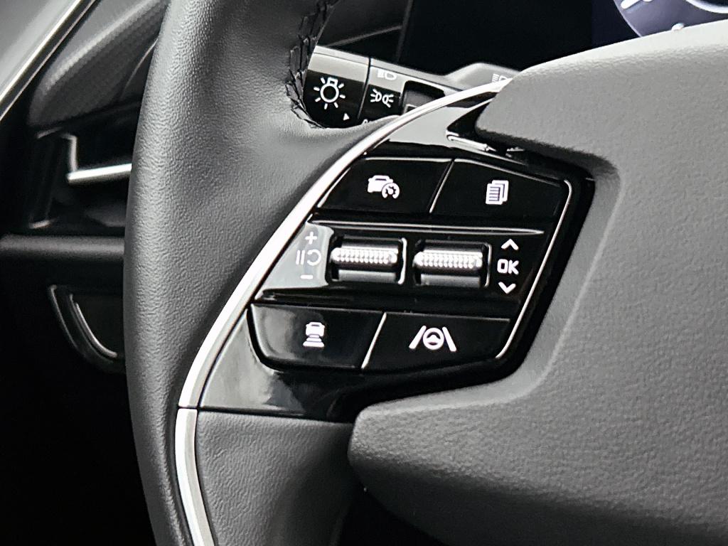 Kia Niro Ev dynamicline 64.8 kwh