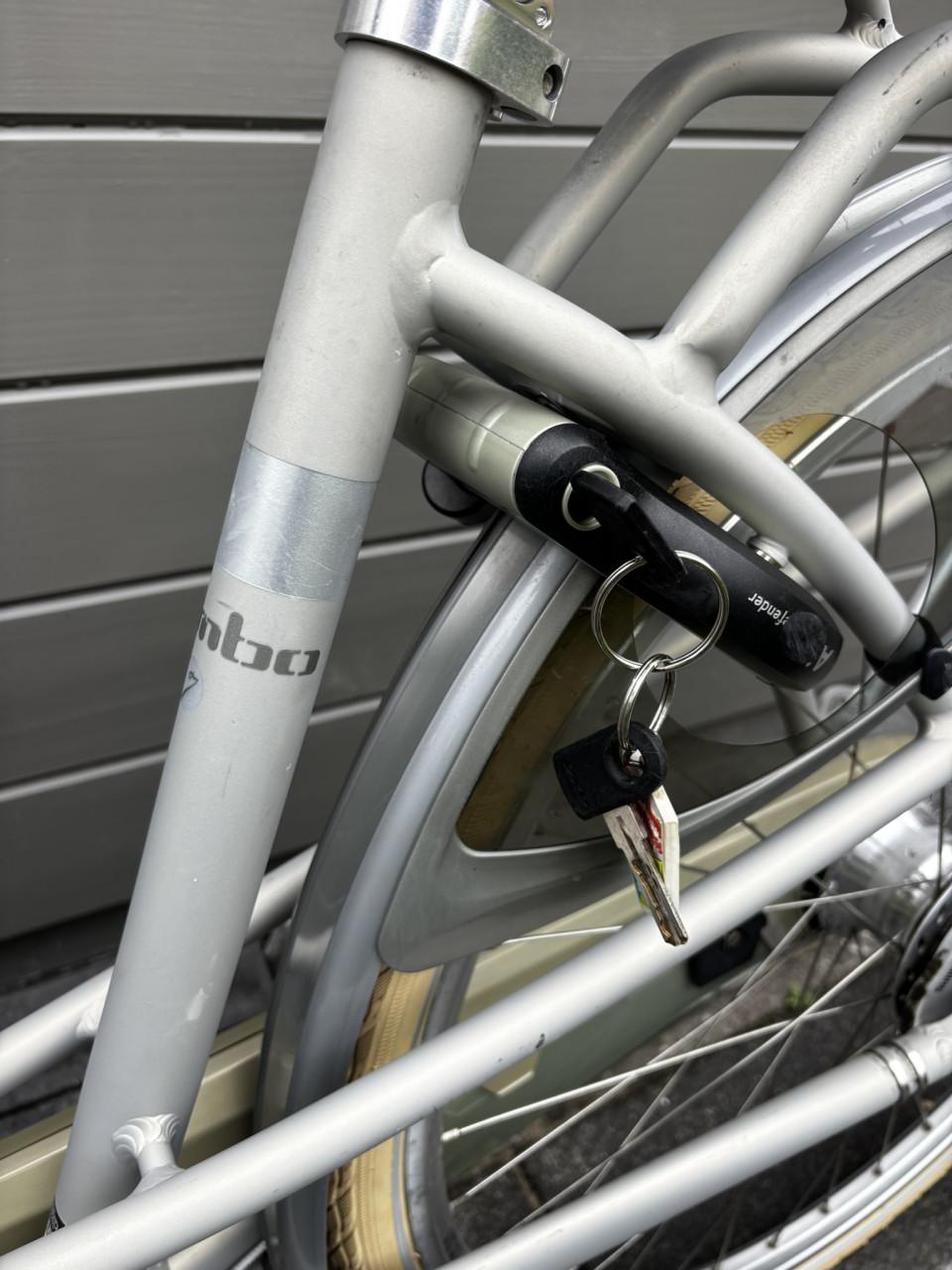 Prachtige Batavus Mambo 28 inch meidenfiets met 7 versnellingen