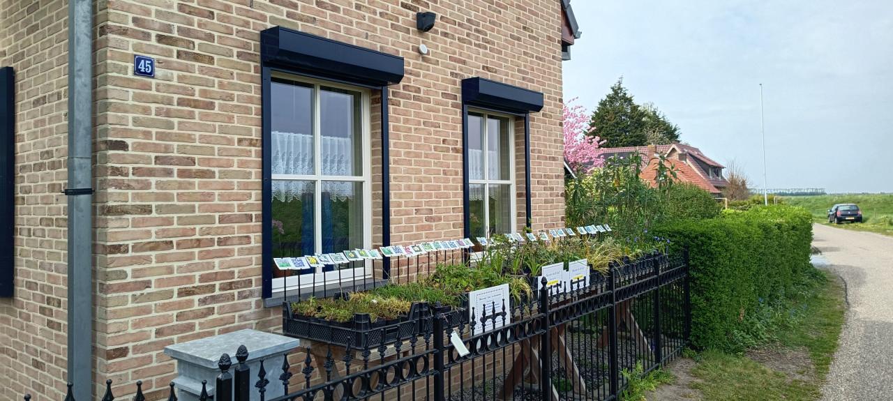 Bijen,- vlinder,- en vaste planten: in ons kraampje slechts € 1,25 p/st.