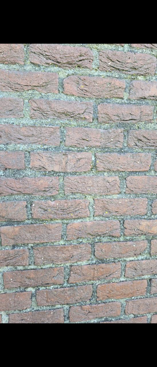 Wilt u professioneel iets laten reinigen of schoonmaken?