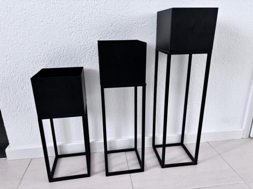 3 staande planten bakken