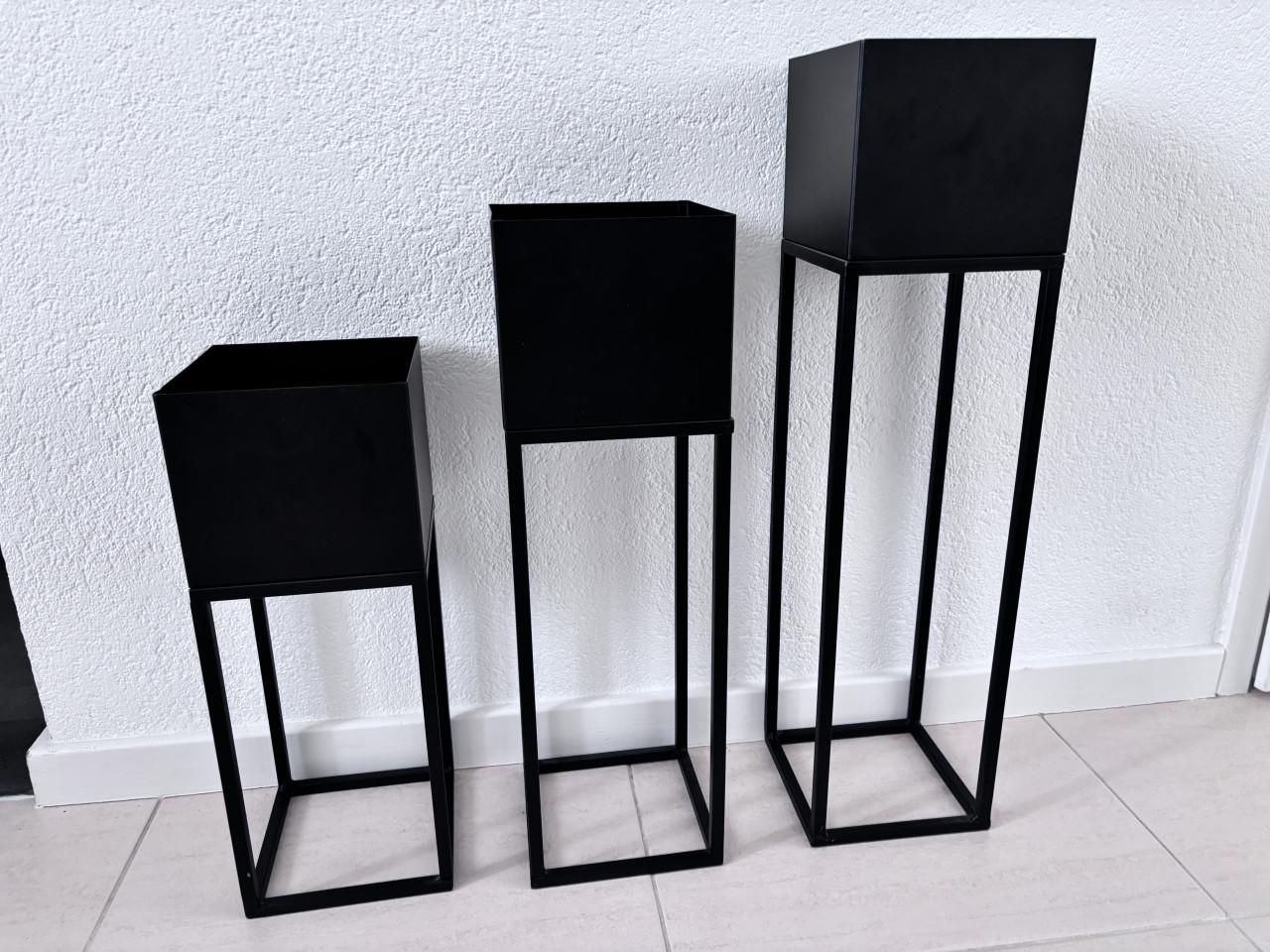 3 staande planten bakken