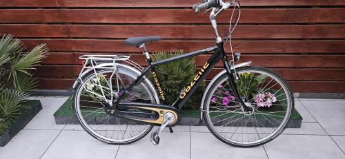 Gazelle Esprit Trendy herenfiets 49 cm
