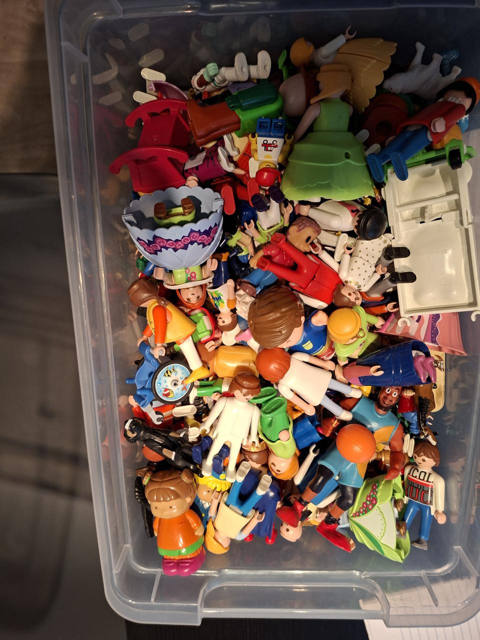 Playmobile grote partij