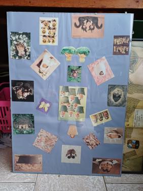 2 fotowissellijsten 50x70 glas