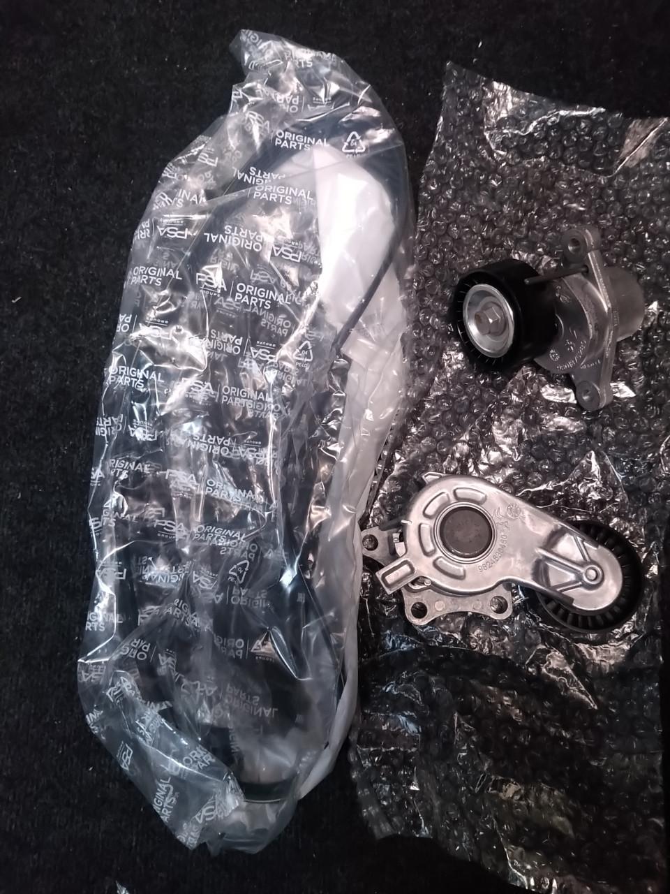 Peugeot /citroen multiriem set