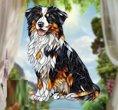 Raamhanger Border collie