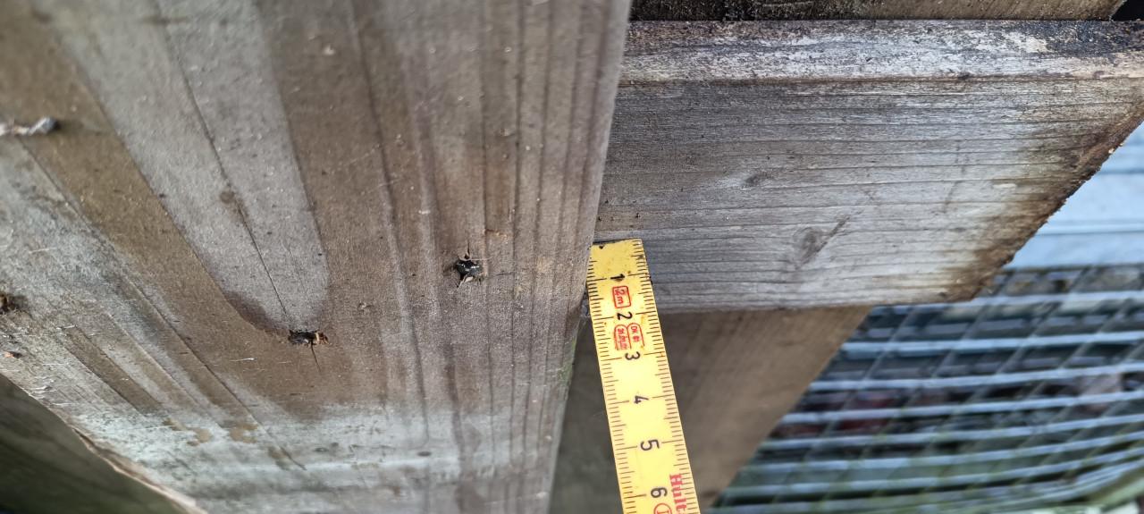 Degelijke houten schutting van Hilhout ( 16 mm, jumbo )