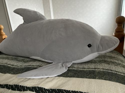 Super grote DOLFIJN knuffel.