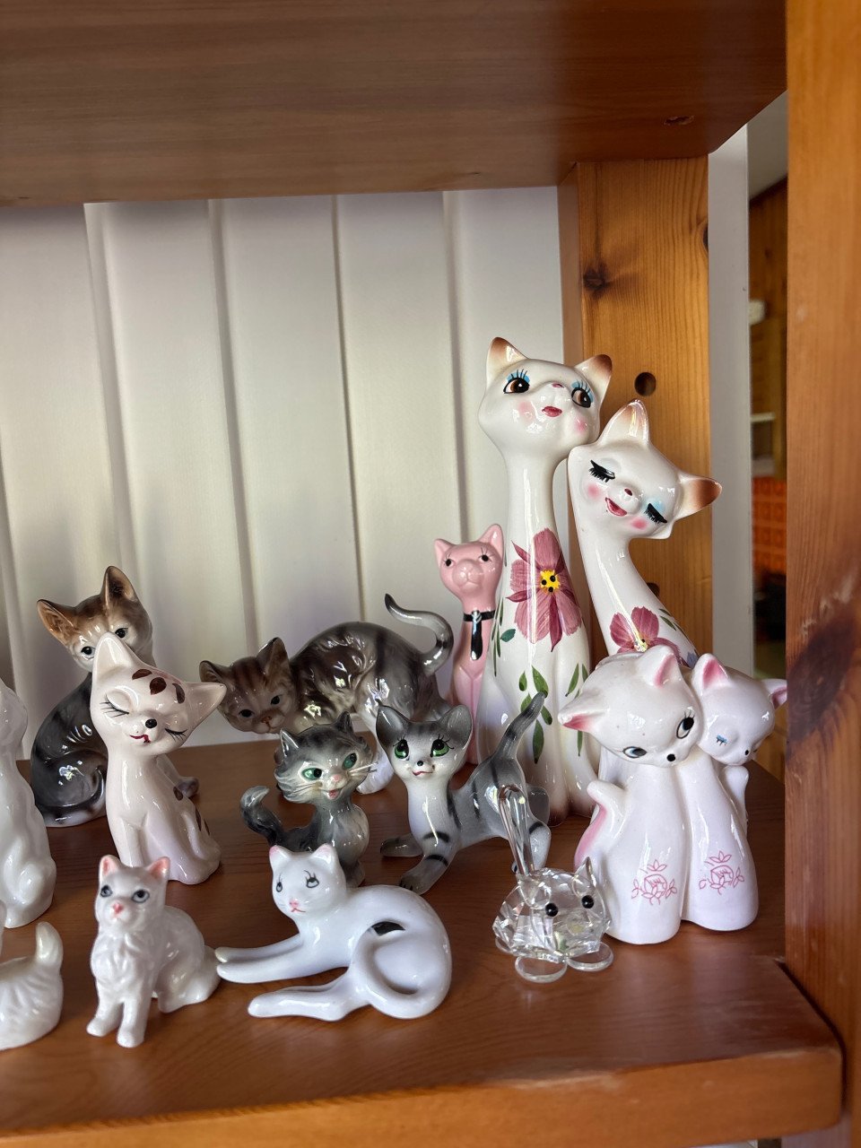 Kattenbeeldjes