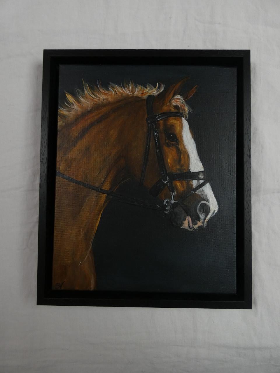 Huisdierportretten in opdracht