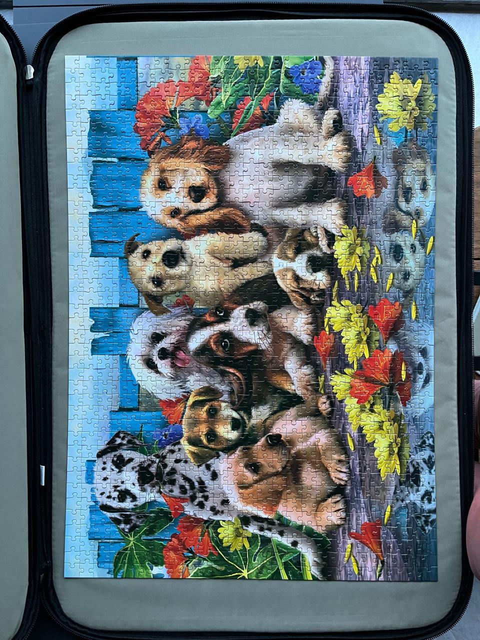 Puzzels 1000 stukjes