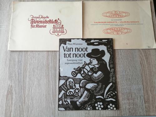 Blokfluit boeken