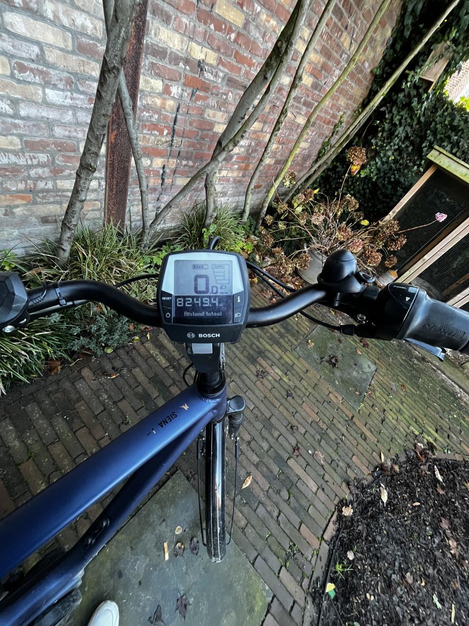 Pegasus siena E7F plus belt (disc) 60, steel blue matt