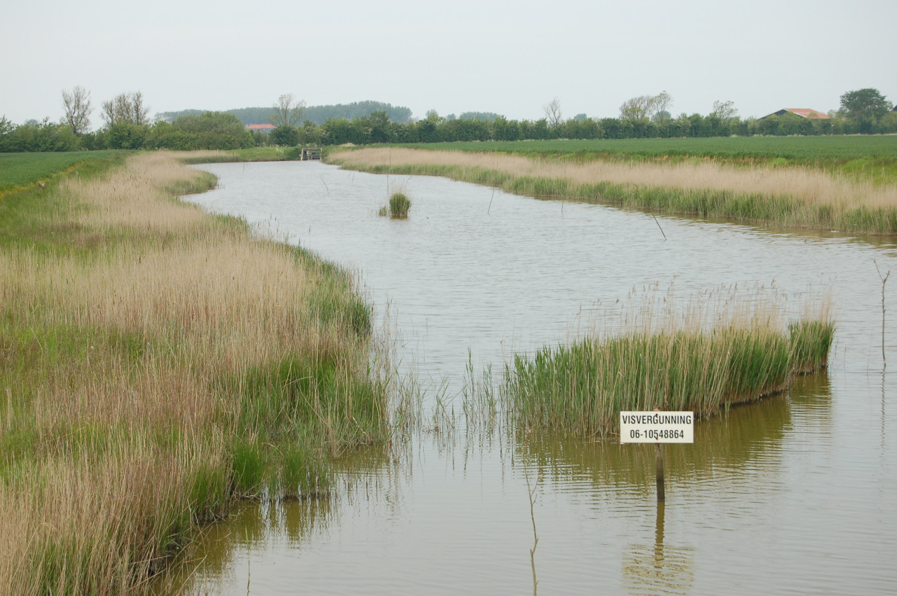Hengelsport in de polders van Walcheren voor € 17,50 een jaarvergunning