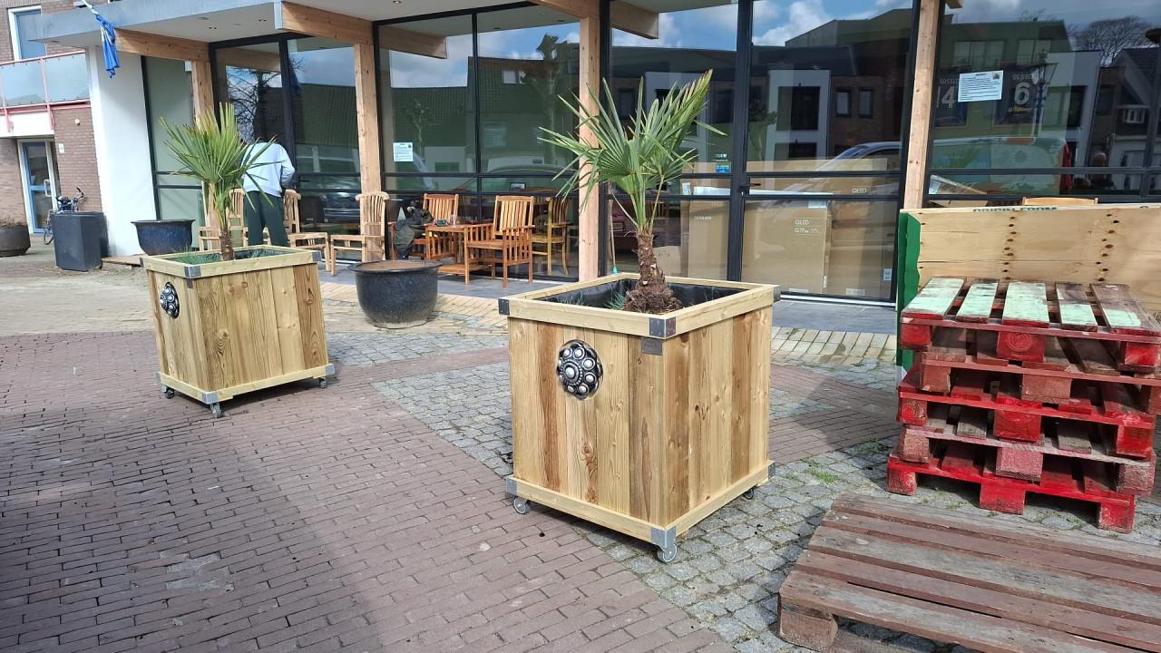 Zeeuwse knop bloembakken projecten ter inspiraties L200 x B35 x H85
