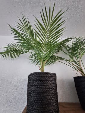 Kunstof plant met bloempot 3 delig