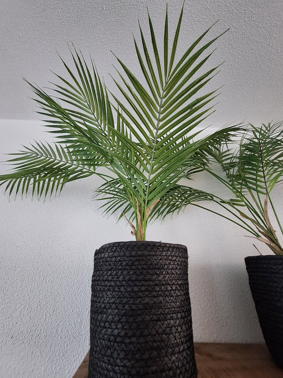 Kunstof plant met bloempot 3 delig