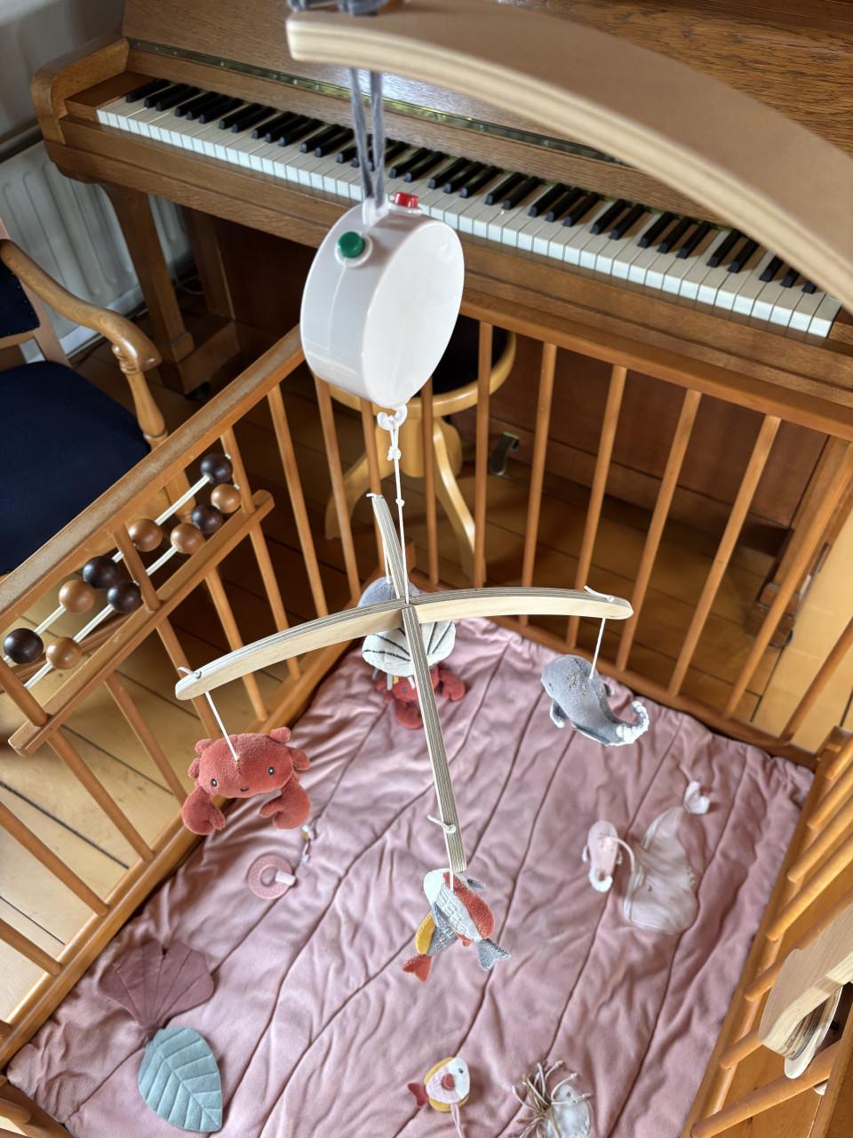 Little Dutch baby-boxkleed, roze, ocean, plus LD muziek-mobiel, ocean