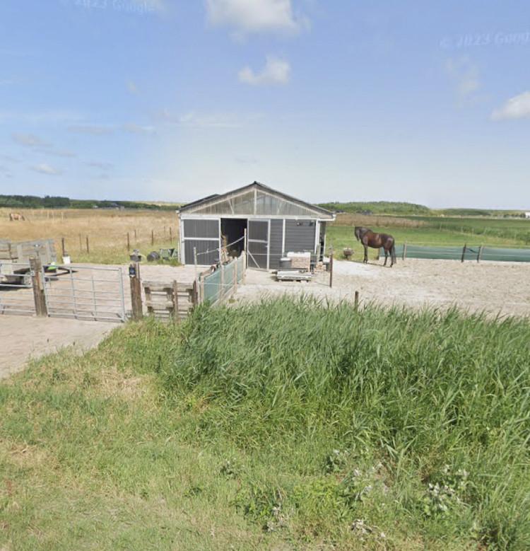 Stalling box met uitloop zandpaddock te huur voor paard of (shetland) pony