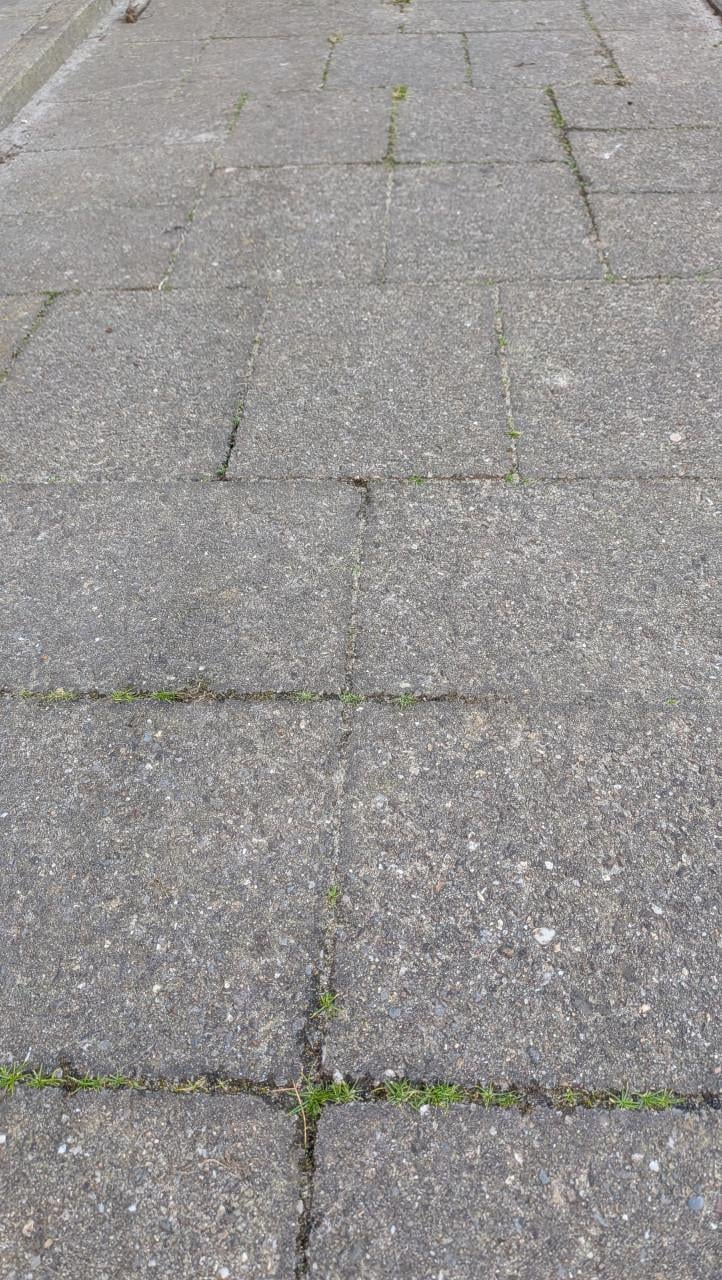 Gratis wildverband tuin tegels 40m2