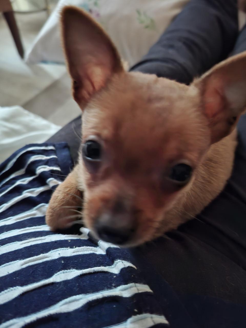 Chiawa reutje geboren 18 september