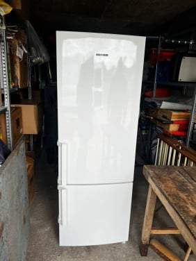 Koel vriescombinatie