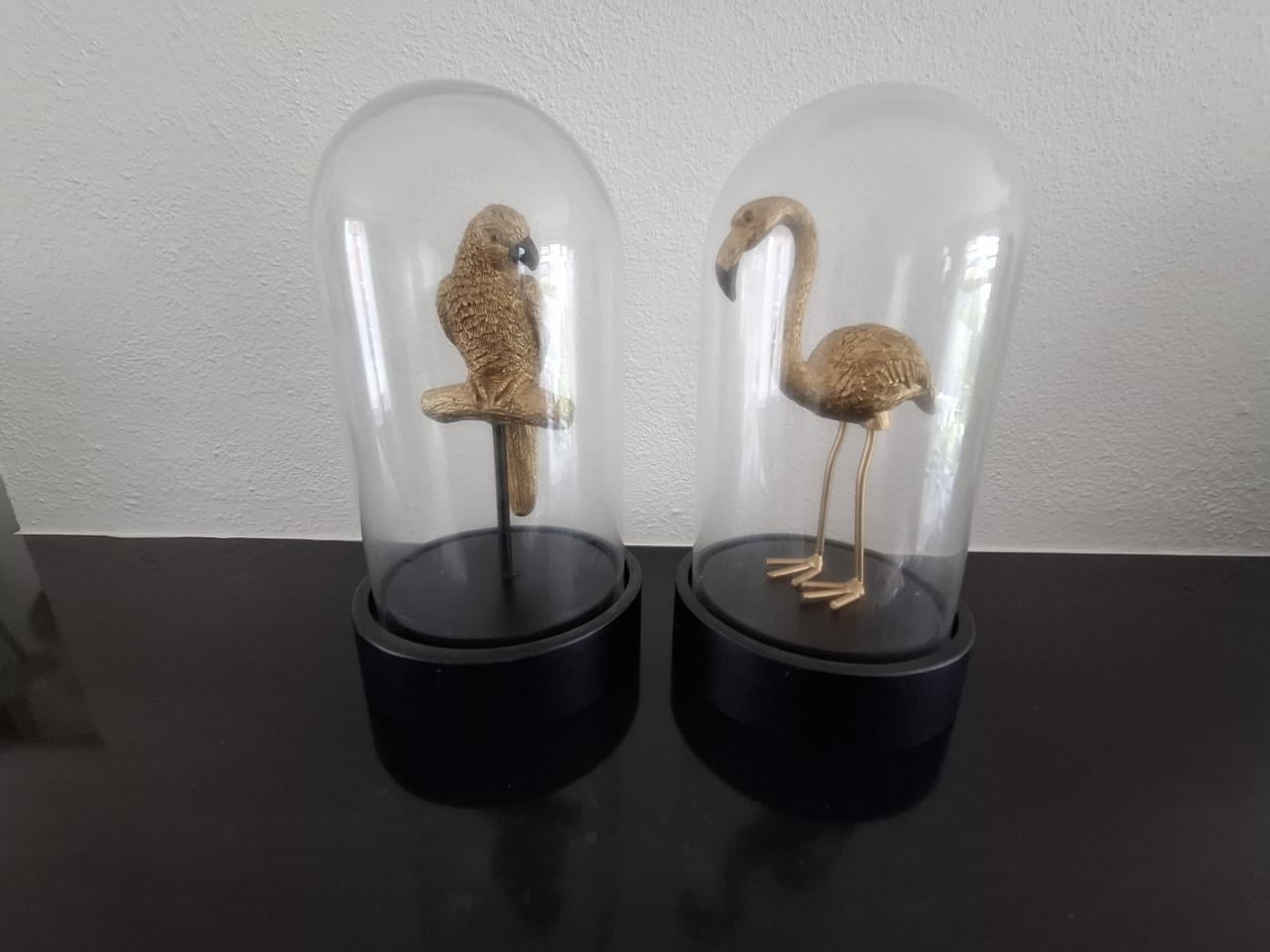 Papegaai en flamingo onder stolp