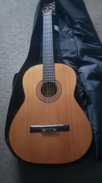 Gitaar met hoes