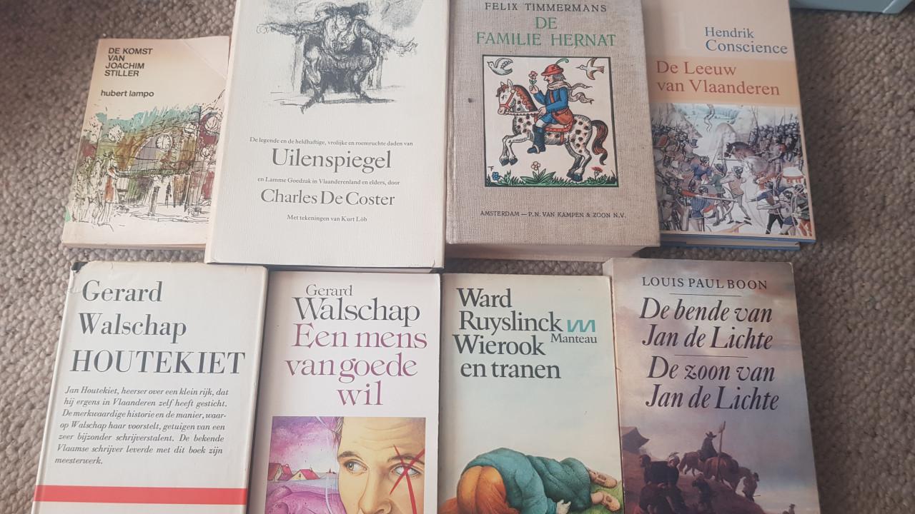 8 Vlaamse klassieke romans