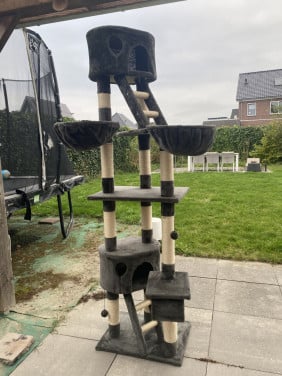 Katten krab paal