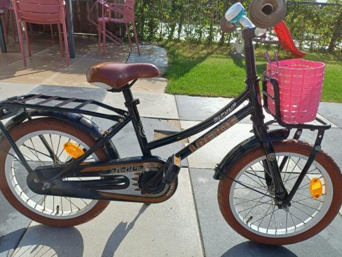 Fiets 16 inch Loekie